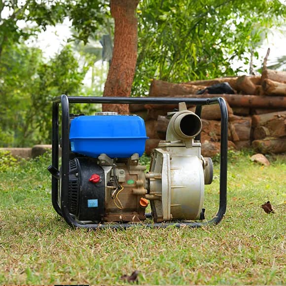 Agroindustrial Enterprises